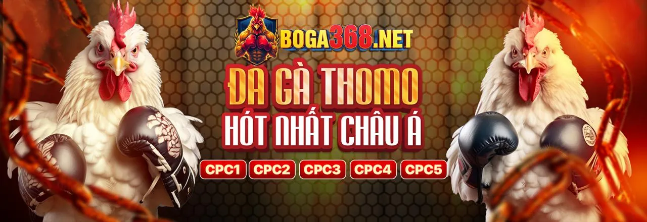 Chương Trình VIP Độc Quyền tại acb8 link mới